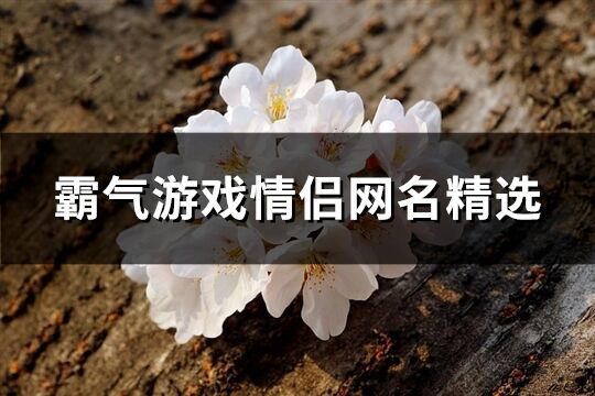 霸气游戏情侣网名精选(精选501个)