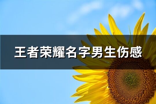 王者荣耀名字男生伤感(共333个)