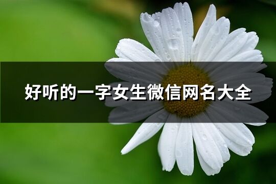 好听的一个字女生微信网名大全(共152个)