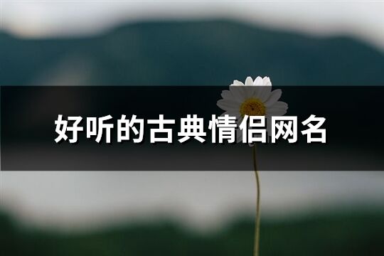 好听的古典情侣网名(303个)