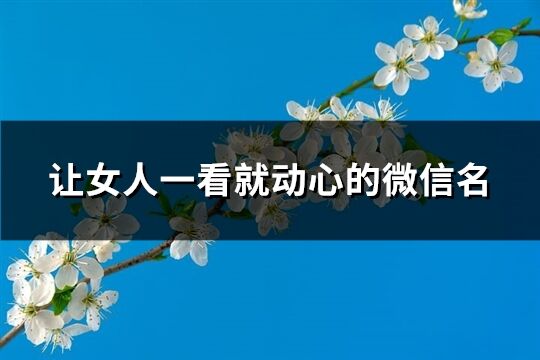 让女人一看就动心的微信名(共527个)