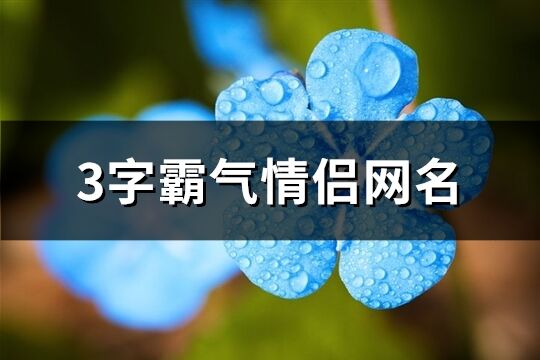 3字霸气情侣网名(57个)