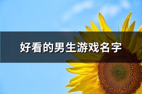 好看的男生游戏名字(共210个)