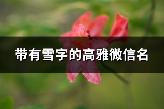 带有雪字的高雅微信名(共176个)