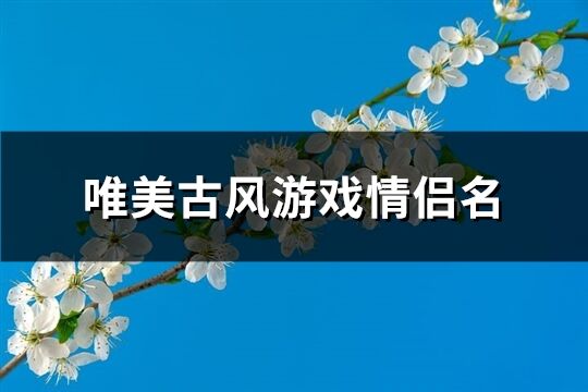 唯美古风游戏情侣名(共67个)