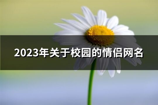 2023年关于校园的情侣网名(共189个)