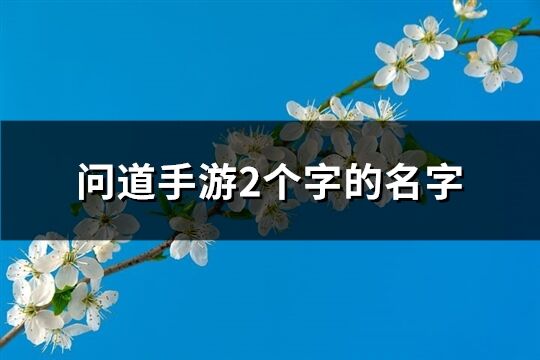 问道手游2个字的名字(345个)