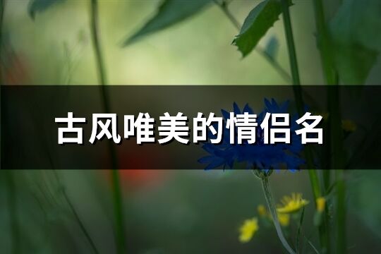 古风唯美的情侣名(共98个)