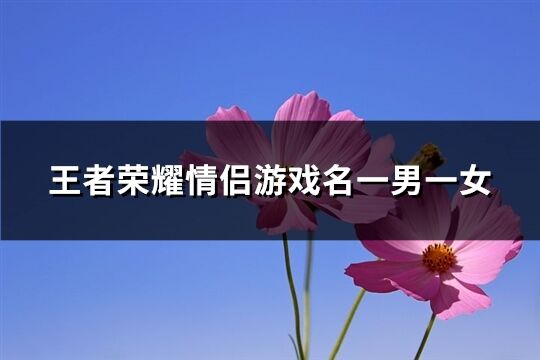 王者荣耀情侣游戏名一男一女(共322个)