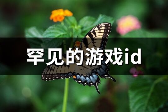 罕见的游戏id(精选45个)