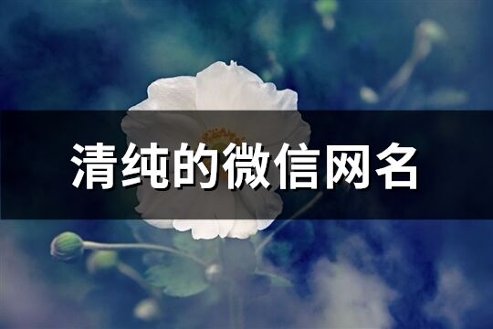 清纯的微信网名(164个)