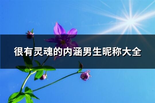 很有灵魂的内涵男生昵称大全(共216个)