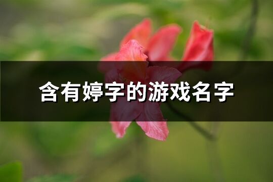 含有婷字的游戏名字(共122个)