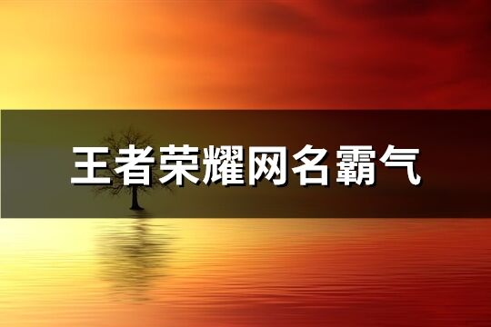 王者荣耀网名霸气(481个)