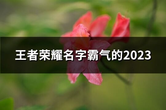 王者荣耀名字霸气的2023(共66个)