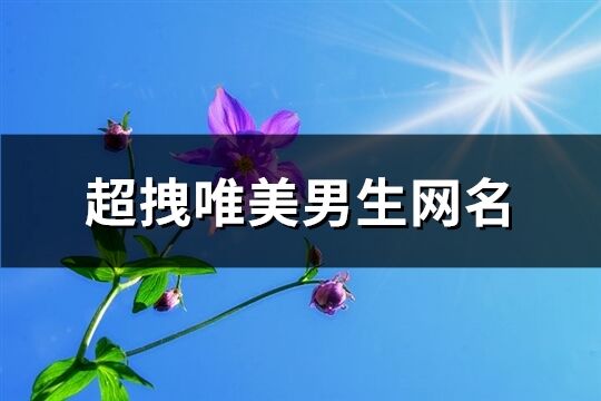 超拽唯美男生网名(精选312个)