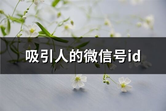 吸引人的微信号id(精选338个)