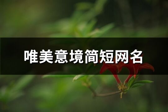 唯美意境简短网名(精选396个)