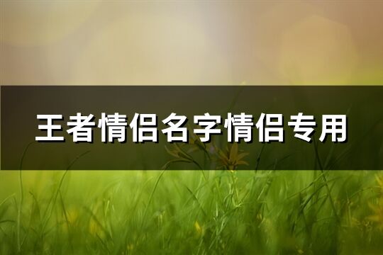 王者情侣名字情侣专用(共129个)