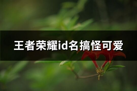 王者荣耀id名搞怪可爱(共71个)