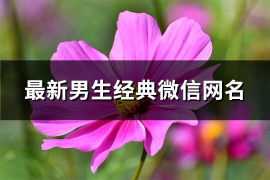 最新男生经典微信网名(共246个)