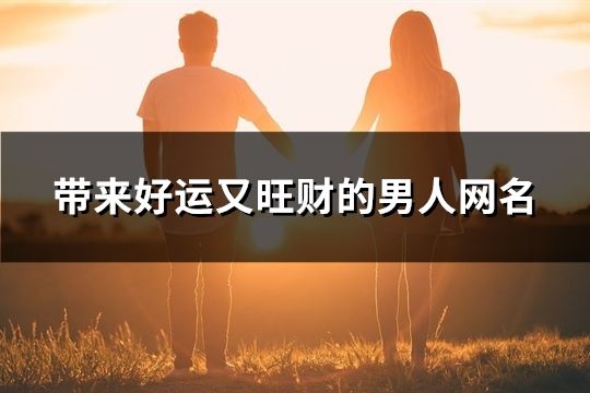 带来好运又旺财的男人网名(897个)