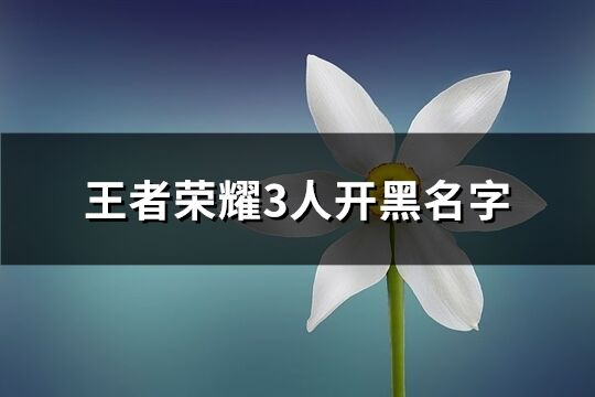 王者荣耀3人开黑名字(118个)