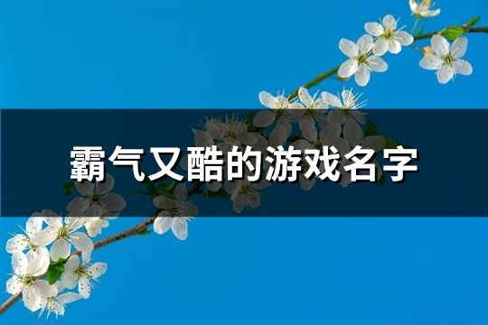 霸气又酷的游戏名字(234个)