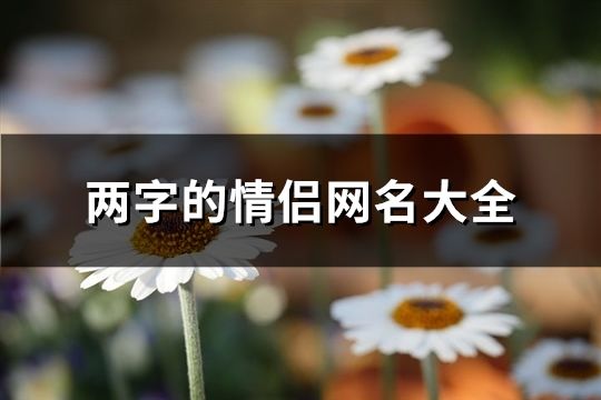 两字的情侣网名大全(共711个)