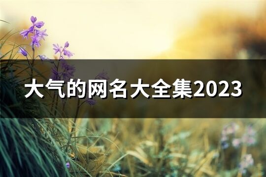 大气的网名大全2023(92个)