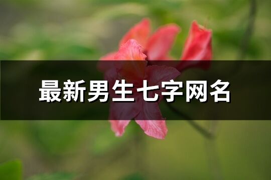 最新男生七字网名(精选335个)