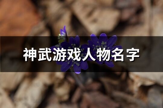 神武游戏人物名字(精选161个)