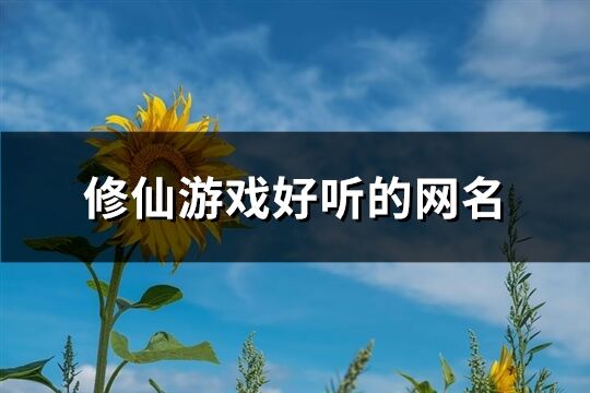 修仙游戏好听的网名(共156个)