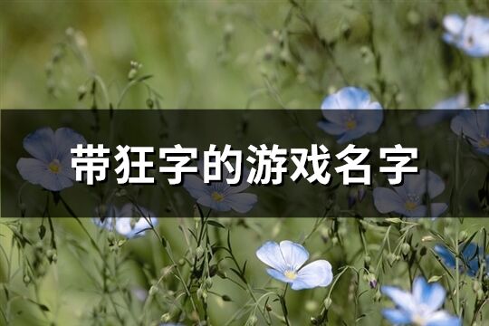 带狂字的游戏名字(精选58个)