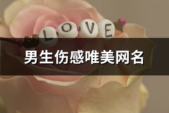 男生伤感唯美网名(共80个)