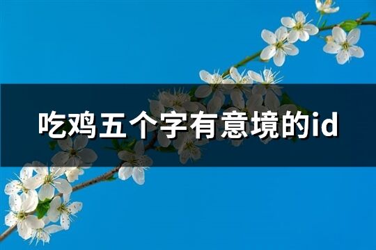 吃鸡五个字有意境的id(共100个)