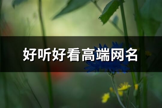 好听好看高端网名(精选391个)