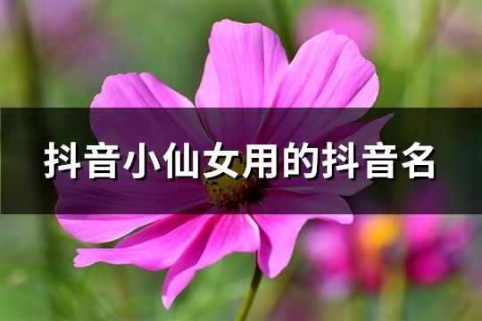 抖音小仙女用的抖音名(精选240个)