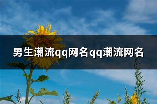 男生潮流qq网名qq潮流网名(共178个)