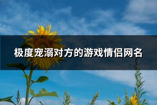 极度宠溺对方的游戏情侣网名(精选91个)