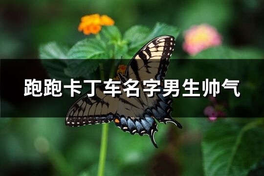 跑跑卡丁车名字男生帅气(精选144个)