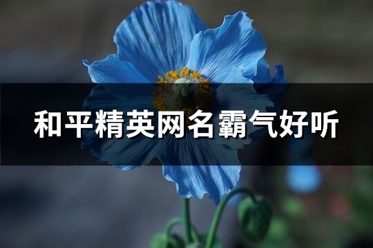 和平精英网名霸气好听(257个)