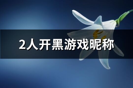 2人开黑游戏昵称(91个)