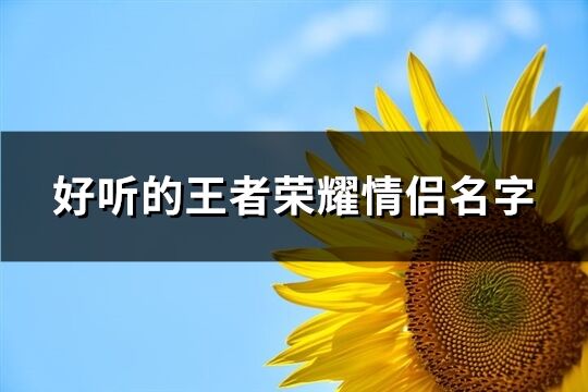 好听的王者荣耀情侣名字(共584个)