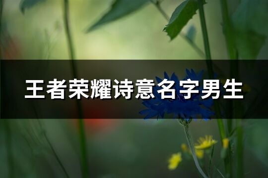 王者荣耀诗意名字男生(共562个)