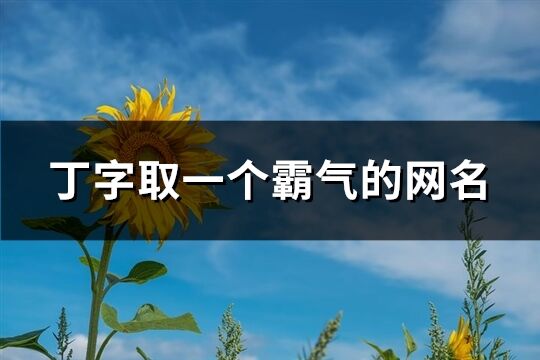 丁字取一个霸气的网名(140个)