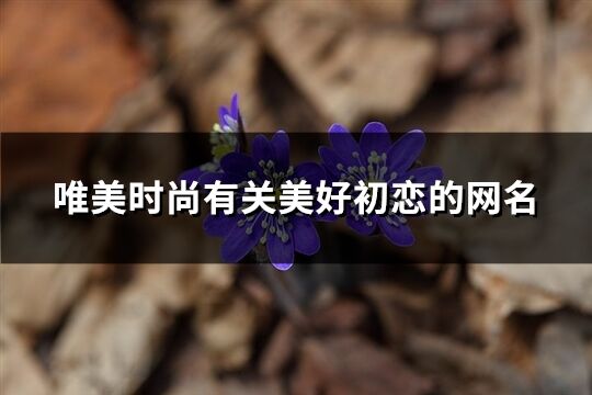 唯美时尚有关美好初恋的网名(精选102个)