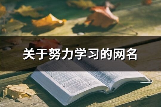 关于努力学习的网名(共140个)