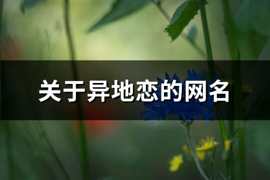 关于异地恋的网名(精选167个)