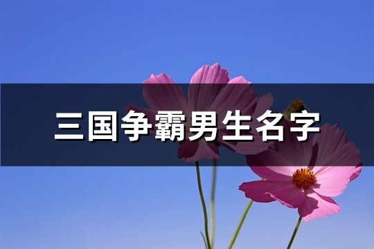 三国争霸男生名字(精选172个)